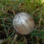 Obverse of amazing 1920 SLQ David found in park down here on the Cape- fresh out of the ground!